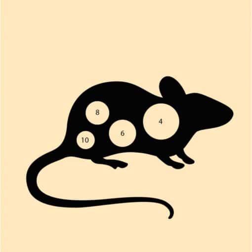 Rat Kaarten (50st)